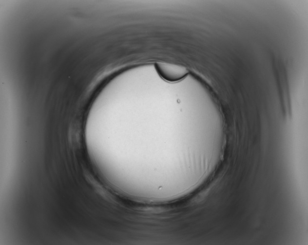 X0000086291499200704201913