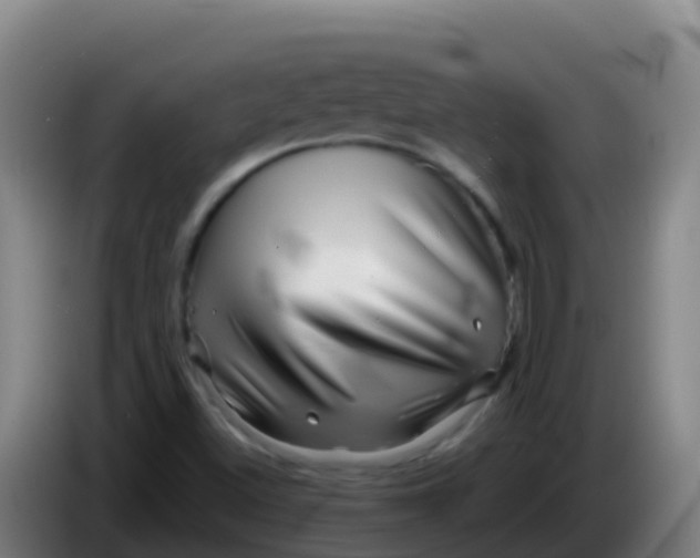 X0000086291500200704201913