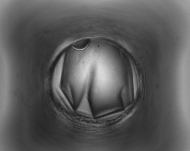 X0000086291501200704201913