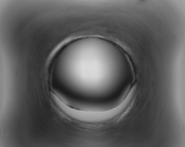 X0000086291502200704201913