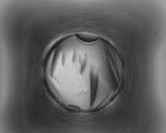 X0000086291503200704201913