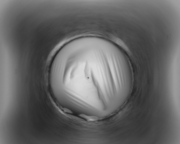 X0000086291504200704201913