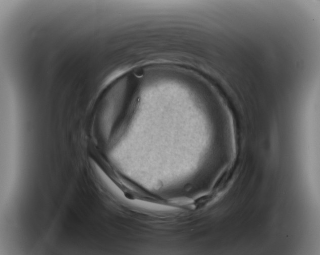 X0000086291505200704201913