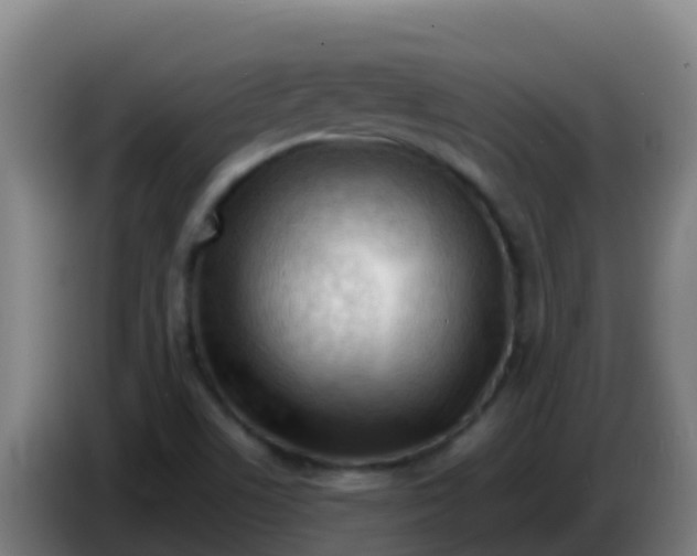 X0000086291506200704201913