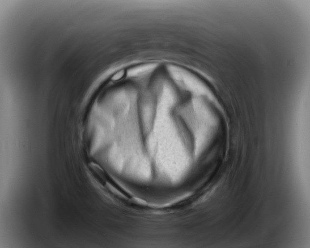 X0000086291507200704201913