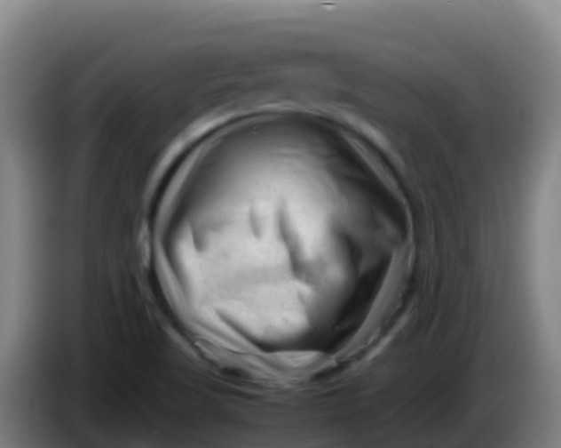 X0000086291509200704201913