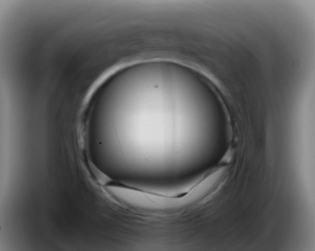 X0000086291510200704201913