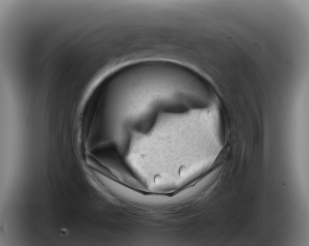 X0000086291511200704201913