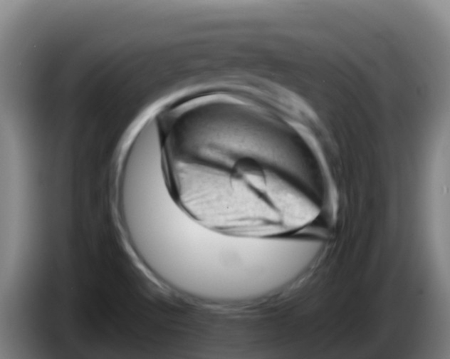 X0000086291512200704201913
