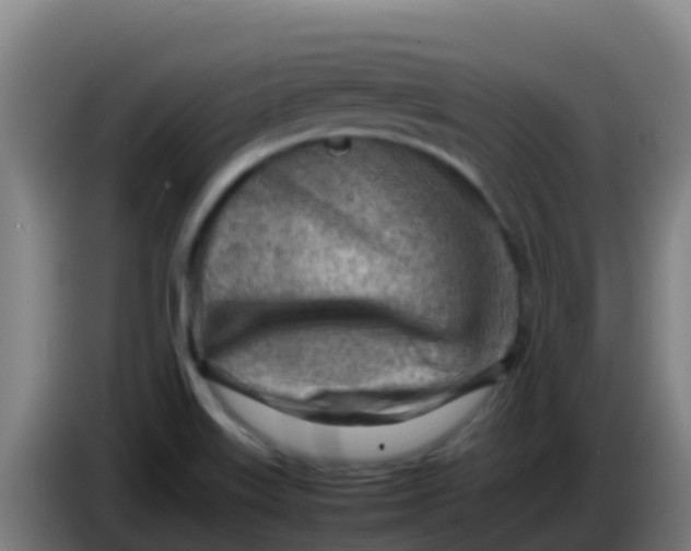 X0000086291515200704201913