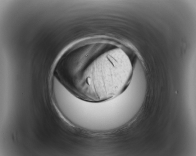 X0000086291516200704201913