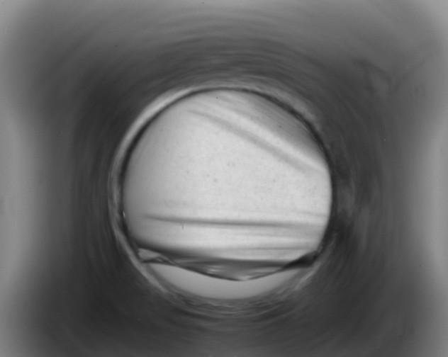 X0000086291517200704201913