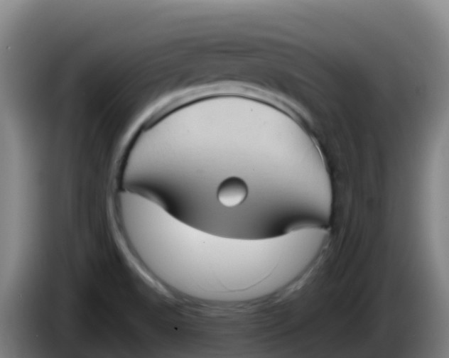 X0000086291518200704201913
