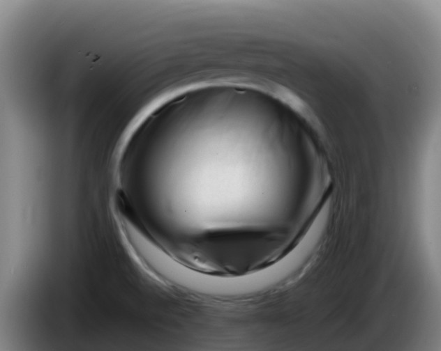 X0000086291520200704201913