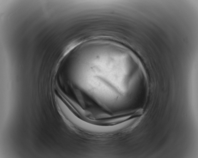 X0000086291521200704201913