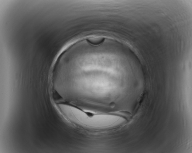 X0000086291522200704201913