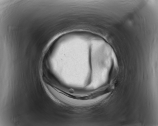 X0000086291523200704201913