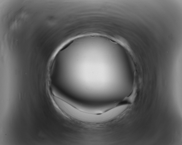 X0000086291524200704201913