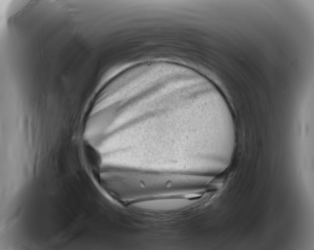 X0000086291525200704201913