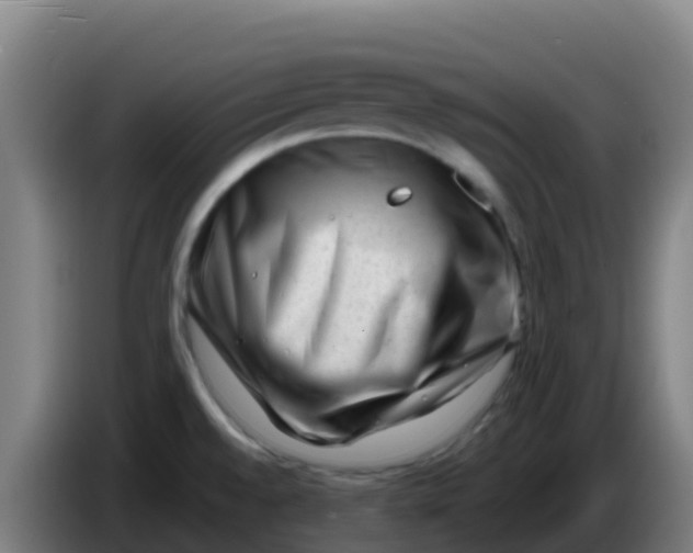 X0000086291528200704201913