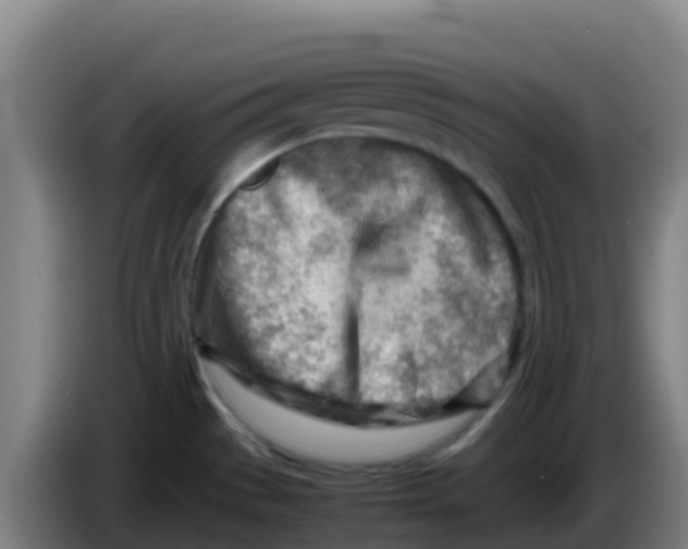 X0000086291529200704201913