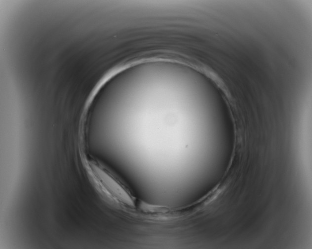 X0000086291530200704201913