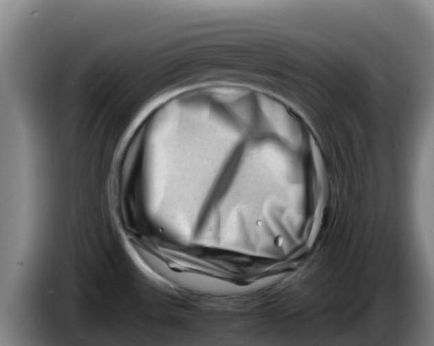 X0000086291531200704201913