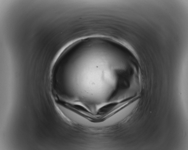 X0000086291532200704201913