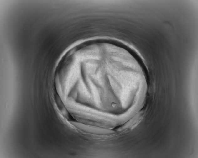 X0000086291534200704201913