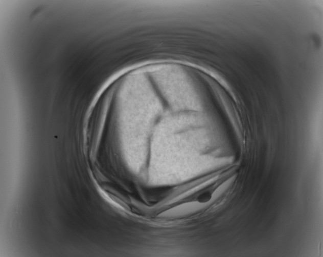 X0000086291535200704201913