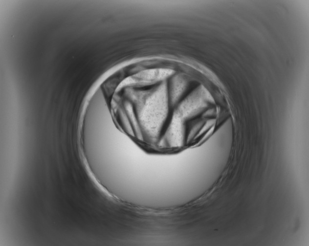X0000086291536200704201913