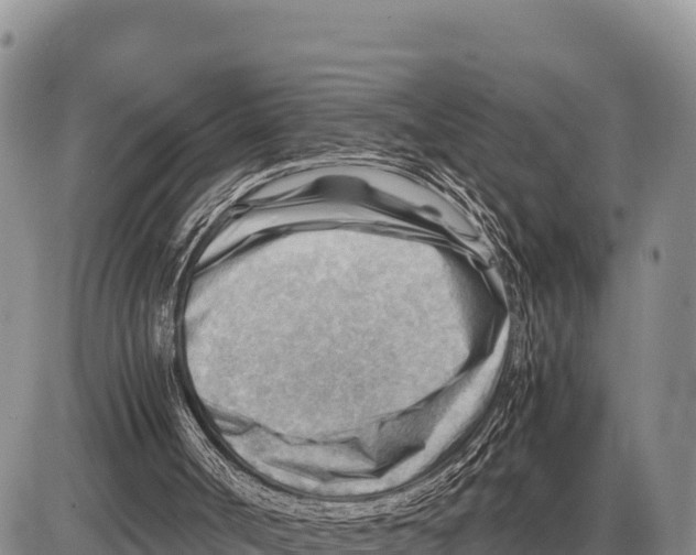 X0000086290002200704271814