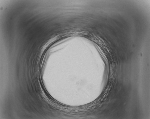 X0000086290003200704271814