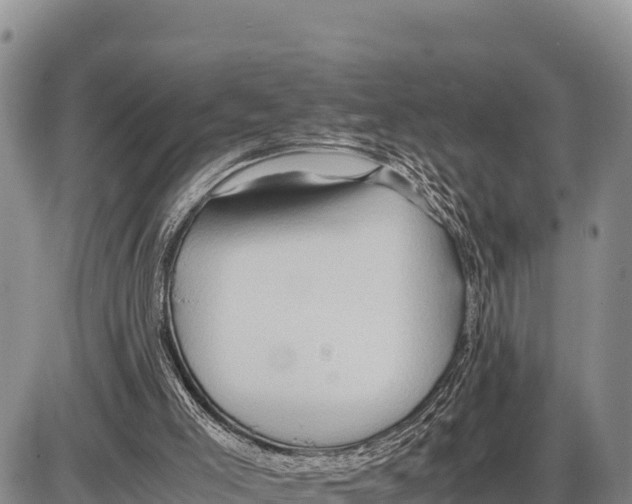 X0000086290005200704271813