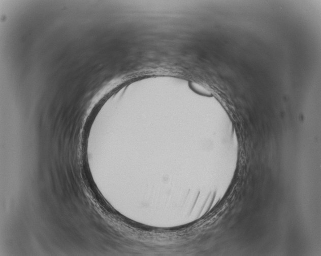 X0000086290008200704271813
