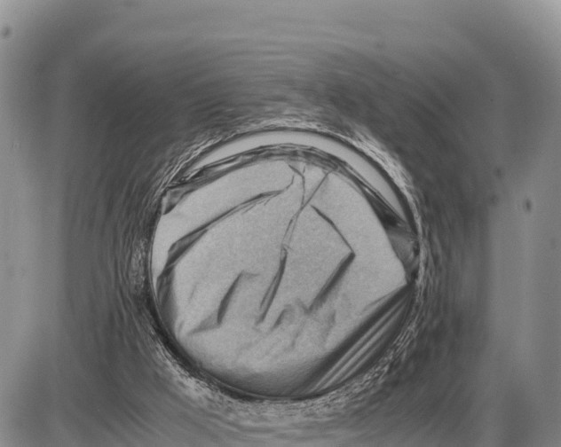 X0000086290009200704271813