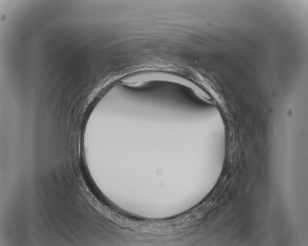 X0000086290011200704271813