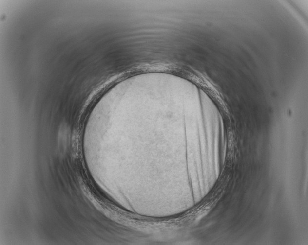 X0000086290012200704271813