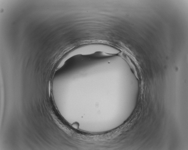 X0000086290013200704271813