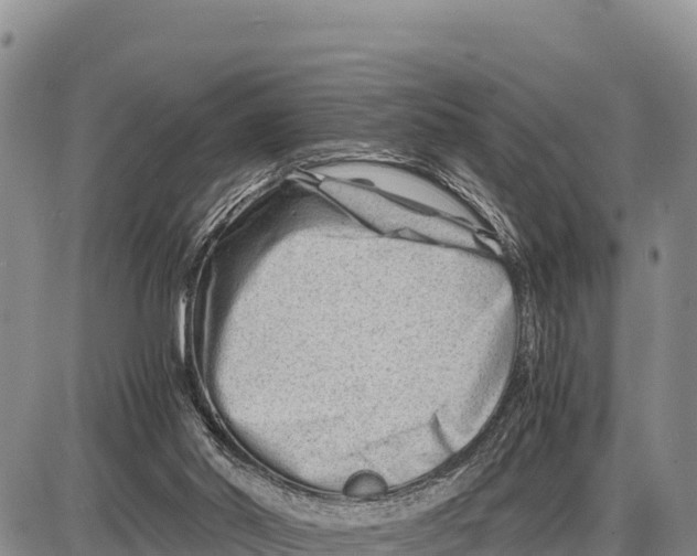 X0000086290014200704271813