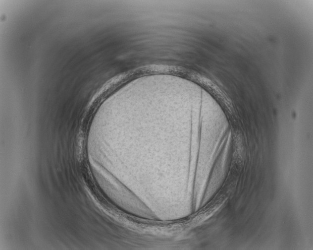 X0000086290016200704271813