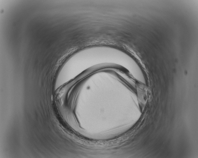 X0000086290019200704271813