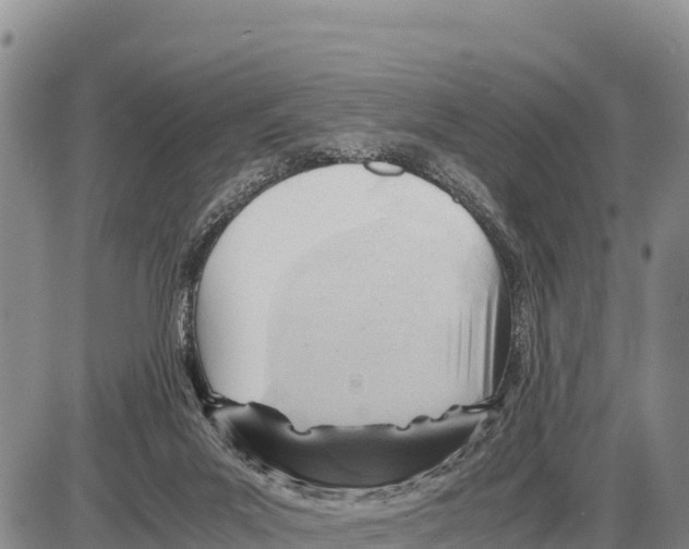 X0000086290023200704271813