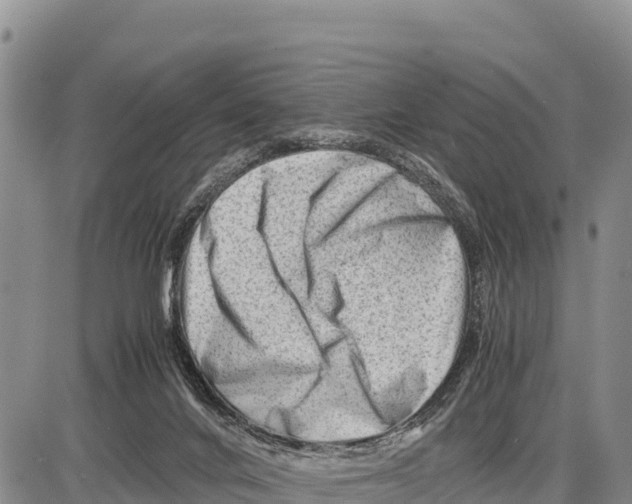 X0000086290024200704271813