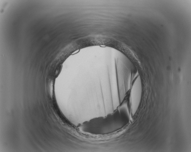 X0000086290027200704271813