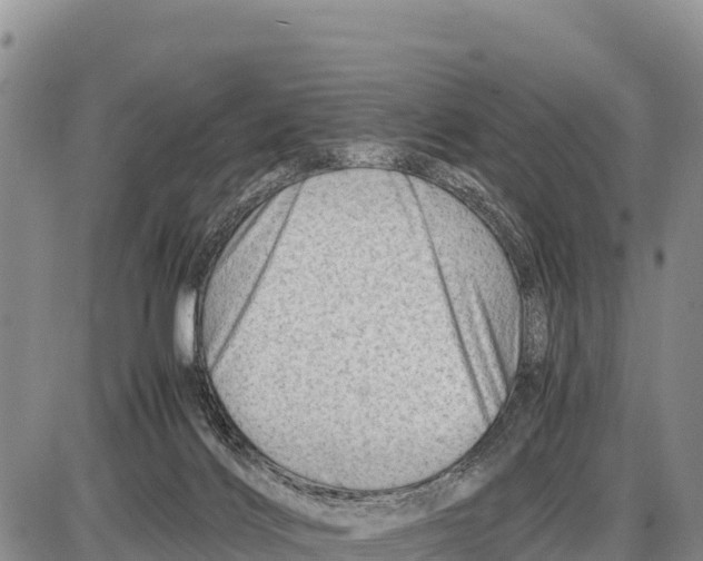 X0000086290028200704271813