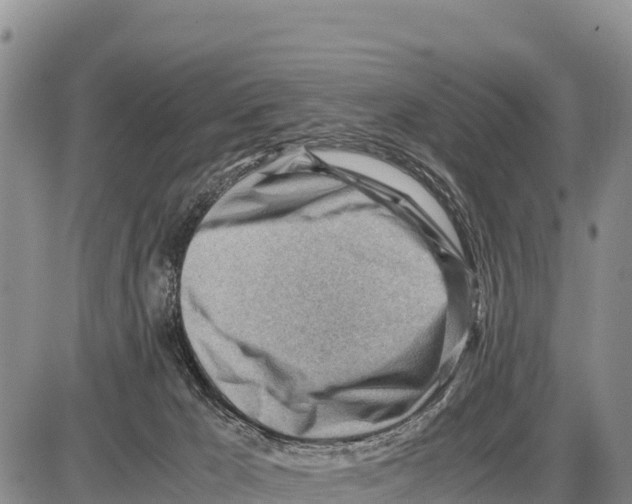 X0000086290029200704271813