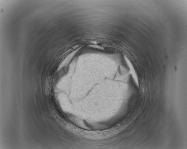 X0000086290030200704271813