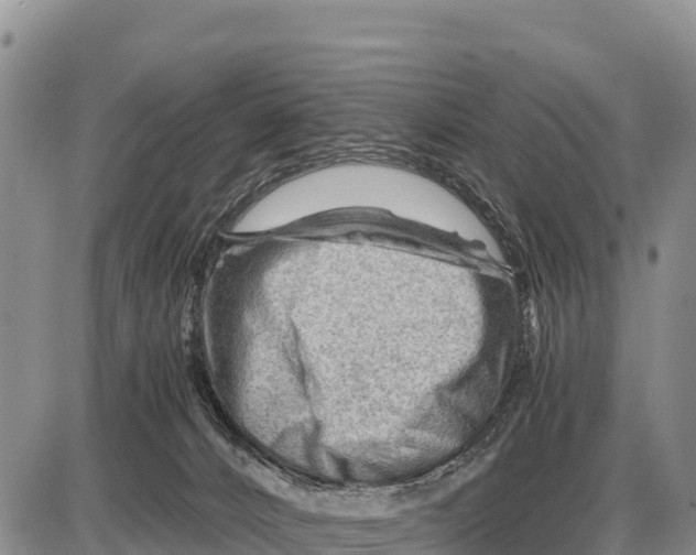 X0000086290032200704271813