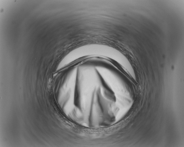 X0000086290033200704271813